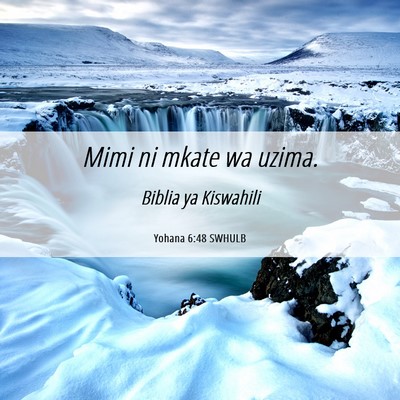 Picture 06 - Yohana 6:48 SWHULB - Mimi ni mkate wa - Bible Verse Picture