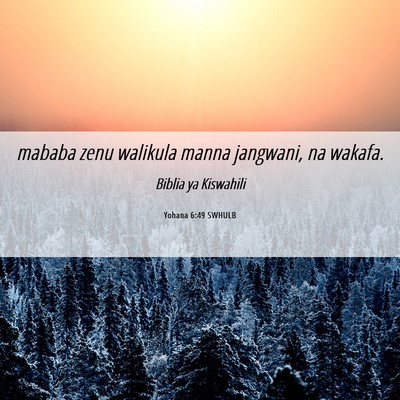 Picture 06 - Yohana 6:49 SWHULB - mababa zenu walikula manna jangwani, na - Bible Verse Picture