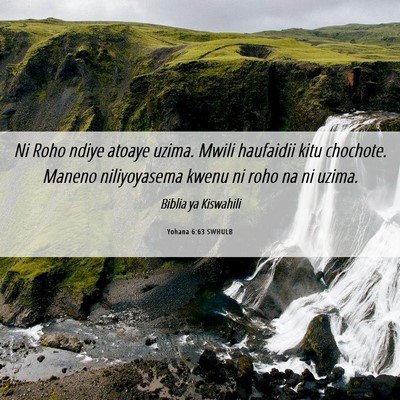 Picture 06 - Yohana 6:63 SWHULB - Ni Roho ndiye atoaye uzima. Mwili haufaidii kitu - Bible Verse Picture