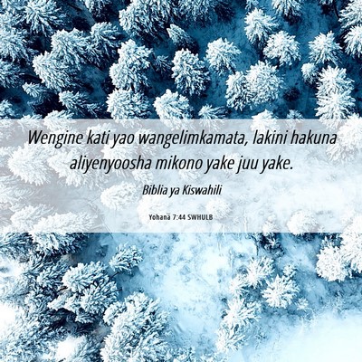 Picture 06 - Yohana 7:44 SWHULB - Wengine kati yao wangelimkamata, lakini hakuna - Bible Verse Picture