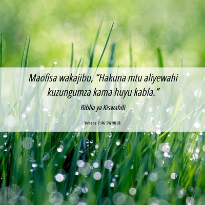 Picture 06 - Yohana 7:46 SWHULB - Maofisa wakajibu, “Hakuna mtu aliyewahi - Bible Verse Picture