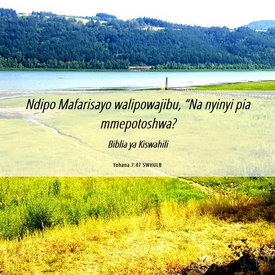 Picture 06 - Yohana 7:47 SWHULB - Ndipo Mafarisayo walipowajibu, “Na nyinyi pia - Bible Verse Picture