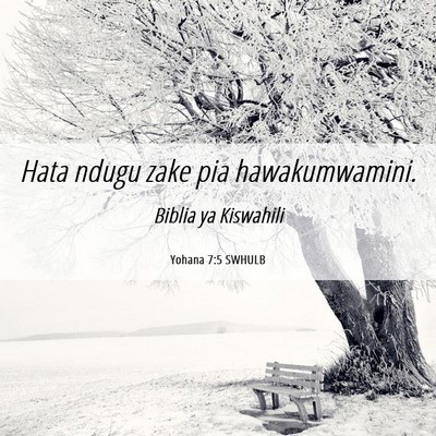 Picture 06 - Yohana 7:5 SWHULB - Hata ndugu zake pia - Bible Verse Picture
