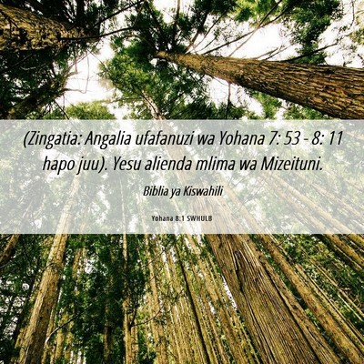 Picture 06 - Yohana 8:1 SWHULB - (Zingatia: Angalia ufafanuzi wa Yohana 7: 53 - 8: - Bible Verse Picture