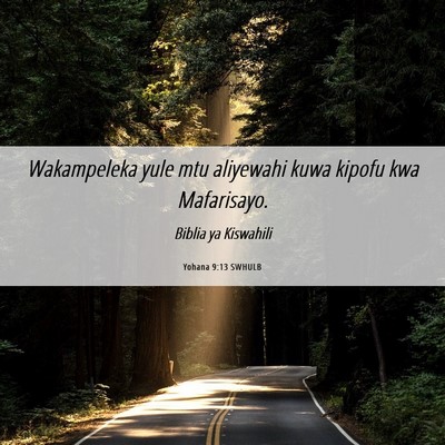 Picture 06 - Yohana 9:13 SWHULB - Wakampeleka yule mtu aliyewahi kuwa kipofu kwa - Bible Verse Picture