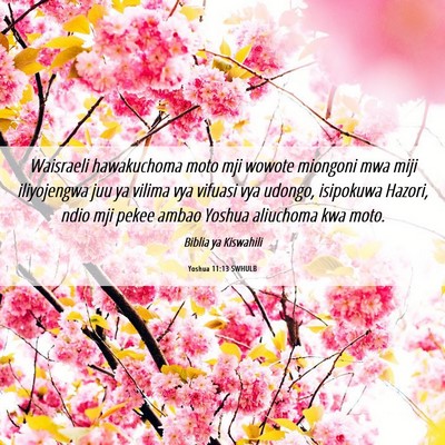 Picture 06 - Yoshua 11:13 SWHULB - Waisraeli hawakuchoma moto mji wowote miongoni - Bible Verse Picture