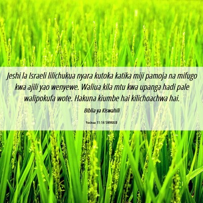 Picture 06 - Yoshua 11:14 SWHULB - Jeshi la Israeli lilichukua nyara kutoka katika - Bible Verse Picture