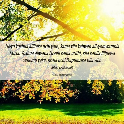 Picture 06 - Yoshua 11:23 SWHULB - Hivyo Yoshua aliiteka nchi yote, kama vile Yahweh - Bible Verse Picture