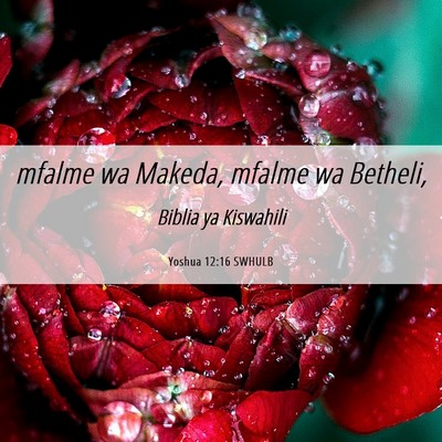 Picture 06 - Yoshua 12:16 SWHULB - mfalme wa Makeda, mfalme wa - Bible Verse Picture