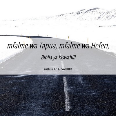 Picture 06 - Yoshua 12:17 SWHULB - mfalme wa Tapua, mfalme wa - Bible Verse Picture