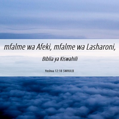 Picture 06 - Yoshua 12:18 SWHULB - mfalme wa Afeki, mfalme wa - Bible Verse Picture