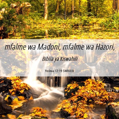Picture 06 - Yoshua 12:19 SWHULB - mfalme wa Madoni, mfalme wa - Bible Verse Picture