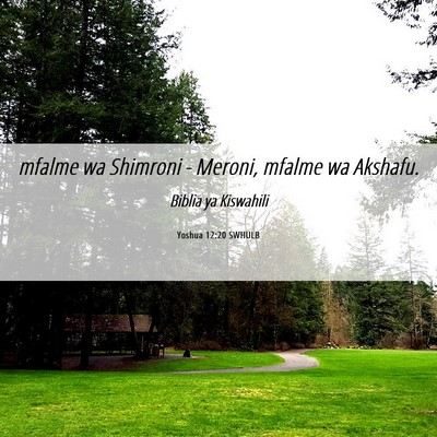 Picture 06 - Yoshua 12:20 SWHULB - mfalme wa Shimroni - Meroni, mfalme wa - Bible Verse Picture