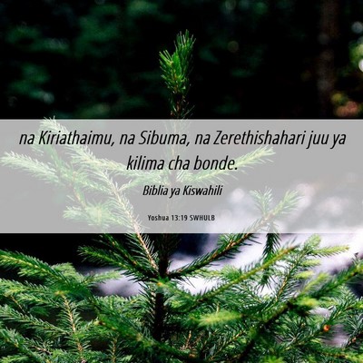 Picture 06 - Yoshua 13:19 SWHULB - na Kiriathaimu, na Sibuma, na Zerethishahari juu - Bible Verse Picture