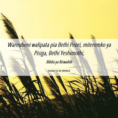 Picture 06 - Yoshua 13:20 SWHULB - Wareubeni walipata pia Bethi Peori, miteremko ya - Bible Verse Picture