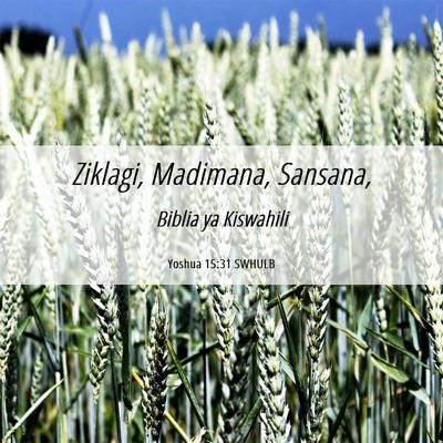 Picture 06 - Yoshua 15:31 SWHULB - Ziklagi, Madimana, - Bible Verse Picture