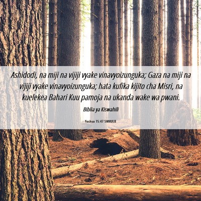 Picture 06 - Yoshua 15:47 SWHULB - Ashidodi, na miji na vijiji vyake - Bible Verse Picture