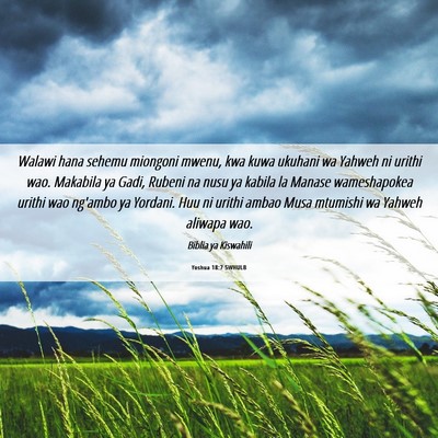 Picture 06 - Yoshua 18:7 SWHULB - Walawi hana sehemu miongoni mwenu, kwa kuwa - Bible Verse Picture