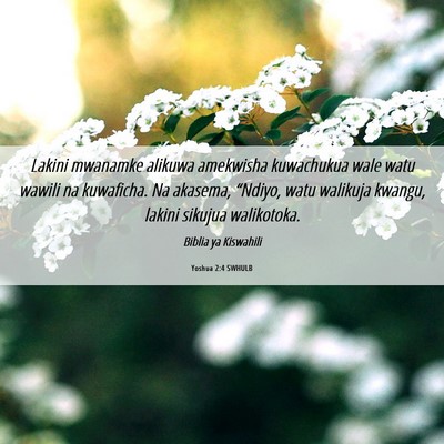 Picture 06 - Yoshua 2:4 SWHULB - Lakini mwanamke alikuwa amekwisha kuwachukua wale - Bible Verse Picture