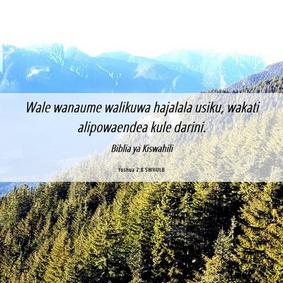 Picture 06 - Yoshua 2:8 SWHULB - Wale wanaume walikuwa hajalala usiku, wakati - Bible Verse Picture