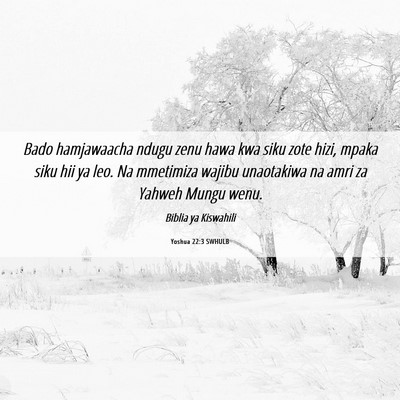 Picture 06 - Yoshua 22:3 SWHULB - Bado hamjawaacha ndugu zenu hawa kwa siku zote - Bible Verse Picture