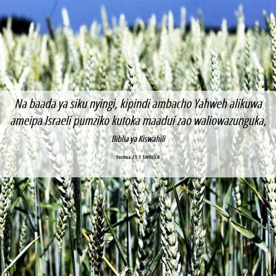 Picture 06 - Yoshua 23:1 SWHULB - Na baada ya siku nyingi, kipindi ambacho Yahweh - Bible Verse Picture