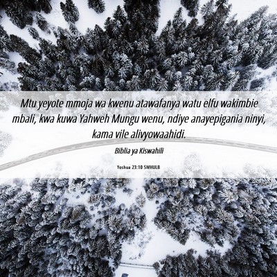 Picture 06 - Yoshua 23:10 SWHULB - Mtu yeyote mmoja wa kwenu atawafanya watu elfu - Bible Verse Picture