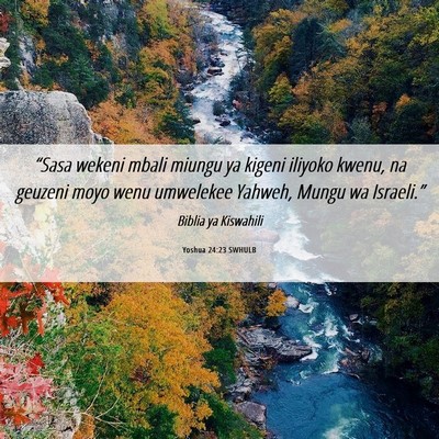 Picture 06 - Yoshua 24:23 SWHULB - “Sasa wekeni mbali miungu ya kigeni iliyoko - Bible Verse Picture