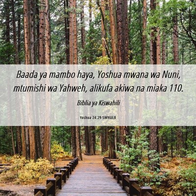 Picture 06 - Yoshua 24:29 SWHULB - Baada ya mambo haya, Yoshua mwana wa Nuni, - Bible Verse Picture