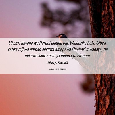 Picture 06 - Yoshua 24:33 SWHULB - Eliazeri mwana wa Haruni alikufa pia. Walimzika - Bible Verse Picture
