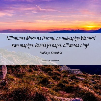 Picture 06 - Yoshua 24:5 SWHULB - Nilimtuma Musa na Haruni, na niliwapiga Wamisri - Bible Verse Picture