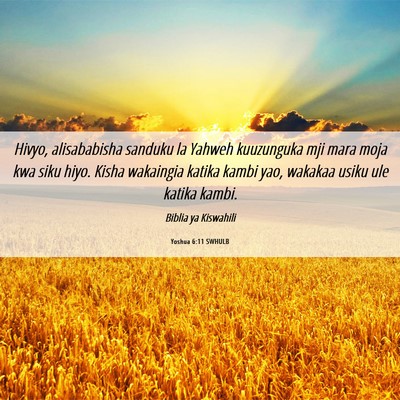 Picture 06 - Yoshua 6:11 SWHULB - Hivyo, alisababisha sanduku la Yahweh kuuzunguka - Bible Verse Picture
