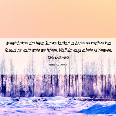 Picture 06 - Yoshua 7:23 SWHULB - Walivichukua vitu hivyo kutoka katikati ya hema - Bible Verse Picture