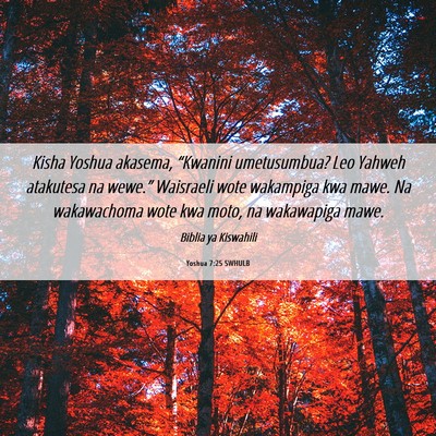 Picture 06 - Yoshua 7:25 SWHULB - Kisha Yoshua akasema, “Kwanini umetusumbua? Leo - Bible Verse Picture