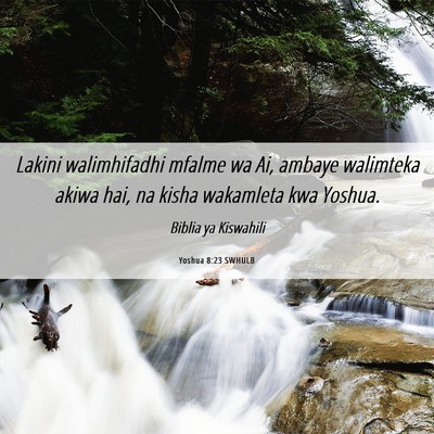 Picture 06 - Yoshua 8:23 SWHULB - Lakini walimhifadhi mfalme wa Ai, ambaye - Bible Verse Picture