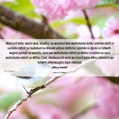 Picture 06 - Yoshua 8:33 SWHULB - Waisraeli wote, wazee wao, maafisa, na waamuzi - Bible Verse Picture