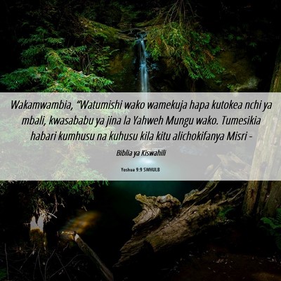 Picture 06 - Yoshua 9:9 SWHULB - Wakamwambia, “Watumishi wako wamekuja hapa - Bible Verse Picture
