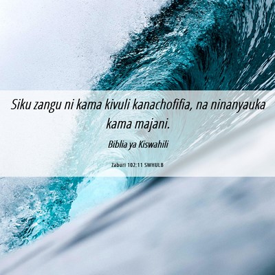 Picture 06 - Zaburi 102:11 SWHULB - Siku zangu ni kama kivuli kanachofifia, na - Bible Verse Picture