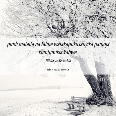 Picture 06 - Zaburi 102:22 SWHULB - pindi mataifa na falme watakapokusanyika pamoja - Bible Verse Picture