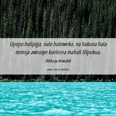 Picture 06 - Zaburi 103:16 SWHULB - Upepo hulipiga, nalo hutoweka, na hakuna hata - Bible Verse Picture