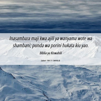 Picture 06 - Zaburi 104:11 SWHULB - Inasambaza maji kwa ajili ya wanyama wote wa - Bible Verse Picture