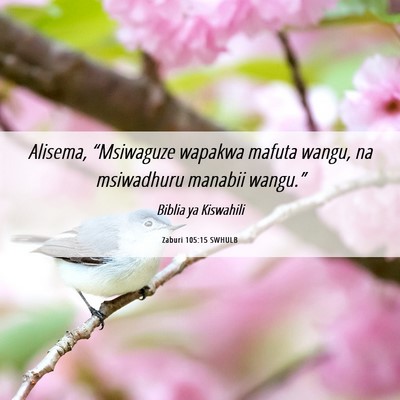 Picture 06 - Zaburi 105:15 SWHULB - Alisema, “Msiwaguze wapakwa mafuta wangu, na - Bible Verse Picture