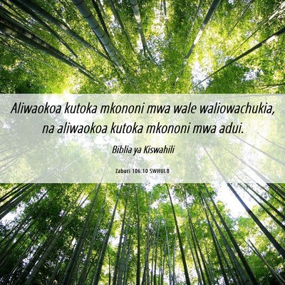 Picture 06 - Zaburi 106:10 SWHULB - Aliwaokoa kutoka mkononi mwa wale waliowachukia, - Bible Verse Picture