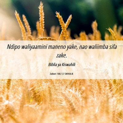 Picture 06 - Zaburi 106:12 SWHULB - Ndipo waliyaamini maneno yake, nao waliimba sifa - Bible Verse Picture