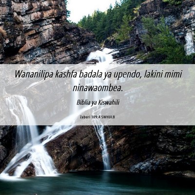 Picture 06 - Zaburi 109:4 SWHULB - Wananilipa kashfa badala ya upendo, lakini mimi - Bible Verse Picture