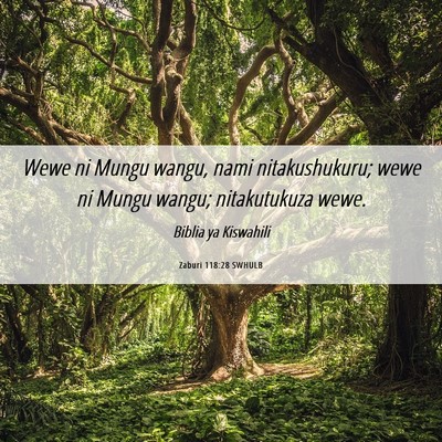 Picture 06 - Zaburi 118:28 SWHULB - Wewe ni Mungu wangu, nami nitakushukuru; wewe ni - Bible Verse Picture