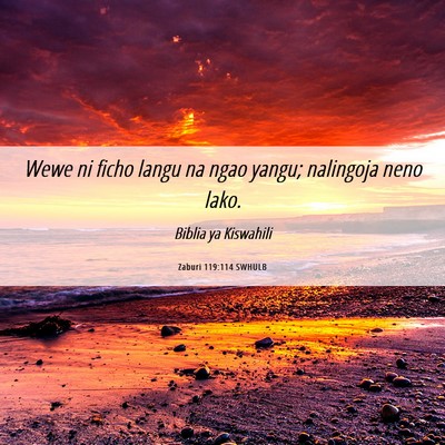 Picture 06 - Zaburi 119:114 SWHULB - Wewe ni ficho langu na ngao yangu; nalingoja neno - Bible Verse Picture