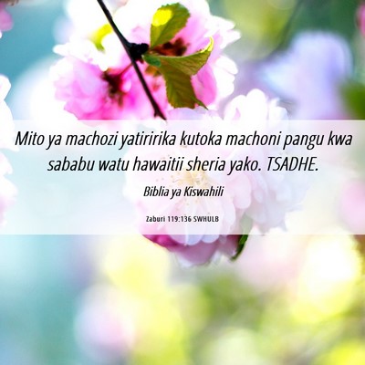 Picture 06 - Zaburi 119:136 SWHULB - Mito ya machozi yatiririka kutoka machoni pangu - Bible Verse Picture