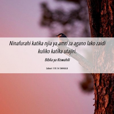 Picture 06 - Zaburi 119:14 SWHULB - Ninafurahi katika njia ya amri za agano lako - Bible Verse Picture