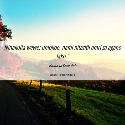 Picture 06 - Zaburi 119:146 SWHULB - Ninakuita wewe; uniokoe, nami nitazitii amri za - Bible Verse Picture